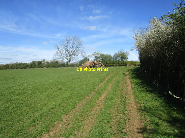 Photo 6"x4" Byway and timber stack Cold Ashby c2021