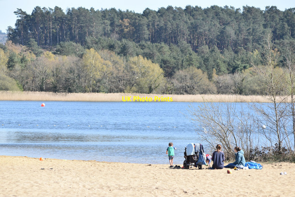 Photo 6"x4" On the beach at Frensham Great Pond Frensham c2021