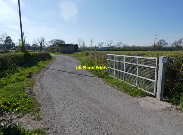 Photo 6"x4" Track to Elmington Manor Farm Berwick\/ST5580 c2021