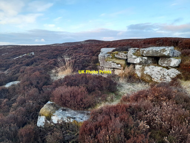 Photo 6"x4" Old Quarry Borrowston c2021