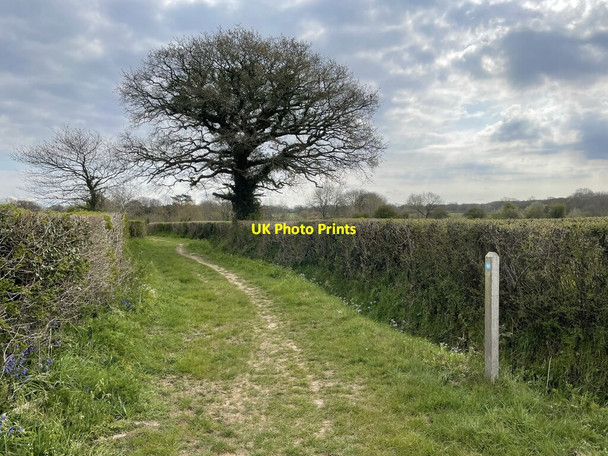 Photo 6"x4" Bridleway near The Levee The Haven c2021