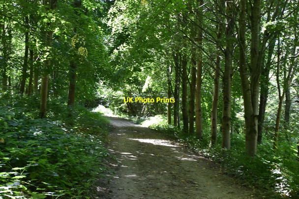 Photo 6"x4" Bridleway, Birchgrove Wood Birchgrove\/TQ4029 c2020 P1