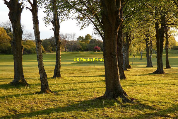 Photo 6"x4" Golf course, Harpsden Henley-on-Thames c2021