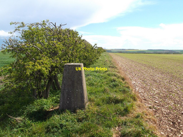 Photo 6"x4" Fimberfields Trig pillar Fimber c2021