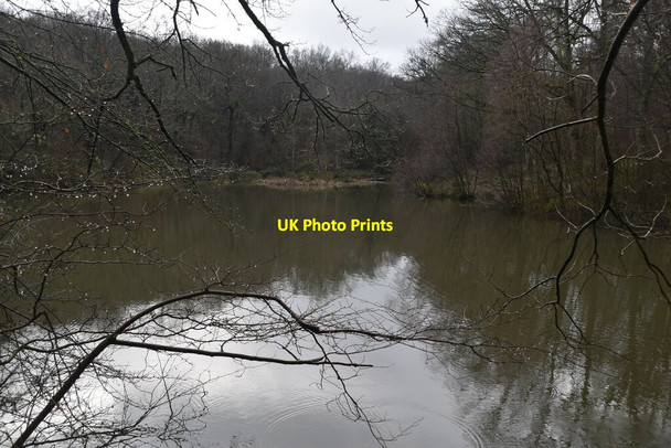 Photo 6"x4" Pond, Brokes Wood High Brooms c2021