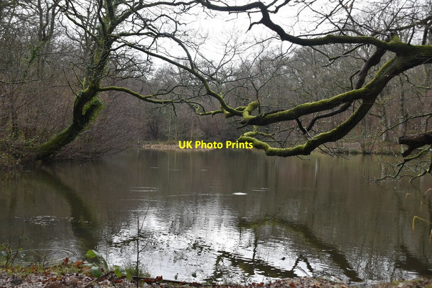Photo 6"x4" Pond, Brokes Wood High Brooms c2021 P1