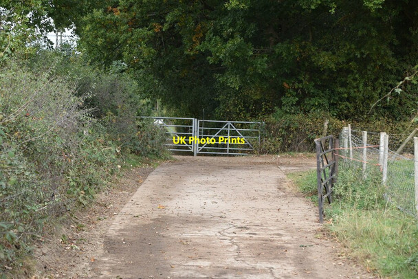 Photo 6"x4" Bridleway, footpath junction by Green Wood Felcourt c2020