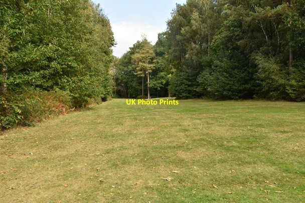 Photo 6"x4" Lingfield Park Golf Course Dormansland c2020 P1