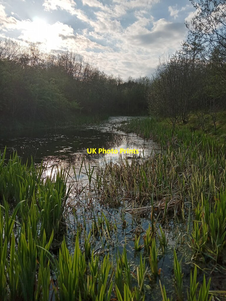 Photo 6"x4" An Unexplained Pond Deans c2021