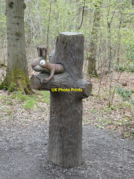Photo 6"x4" Carved squirrel in Hamsterley Forest Bedburn c2021