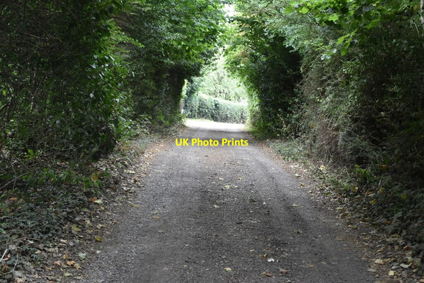 Photo 6"x4" Manor Rd Aperfield c2020