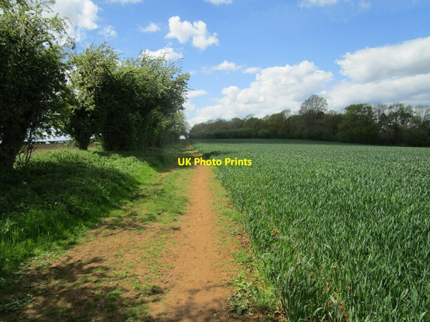 Photo 6"x4" Bridleway near Doctor's Barn Whichford c2021