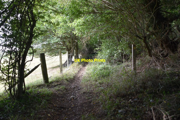 Photo 6"x4" Footpath off byway Biggin Hill c2020