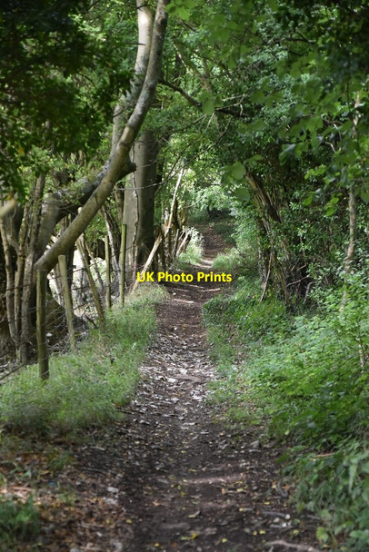 Photo 6"x4" Wooded byway Biggin Hill c2020
