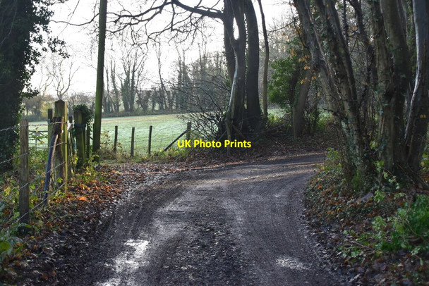 Photo 6"x4" Bend, Byway, Brimstone Wood Foxendown c2020
