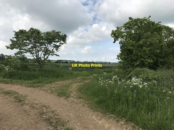 Photo 6"x4" Bridleway near Downton South Kilworth c2021