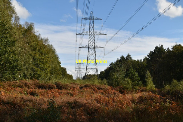 Photo 6"x4" Pylon, Flatroper's Wood Beckley\/TQ8523 c2020