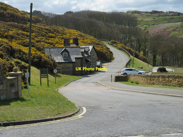 Photo 6"x4" Driveway to Raithwaite Estate, near Whitby Whitby\/NZ8910 c2021