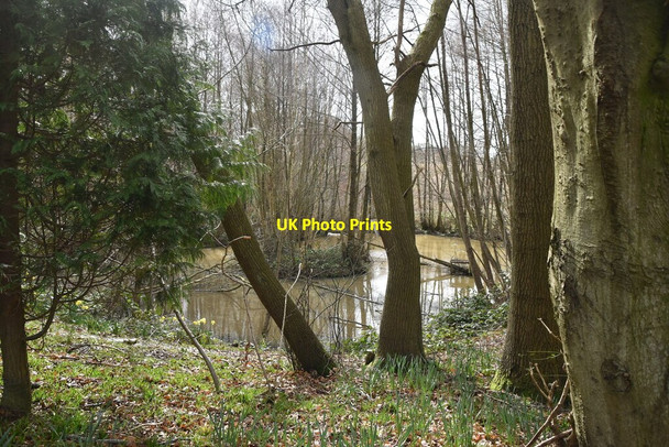 Photo 6"x4" Pond, Copthall Wood Hook Green\/TQ6535 c2021