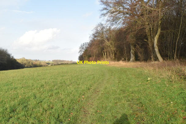 Photo 6"x4" Bridleway by Elbows Wood Meopham Green c2020