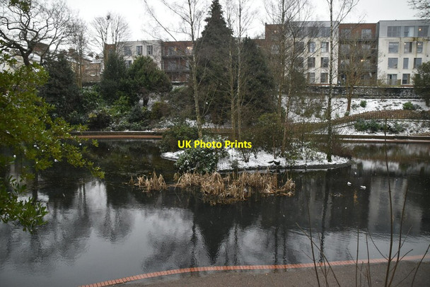 Photo 6"x4" Pond, Grosvenor Grounds Royal Tunbridge Wells c2021