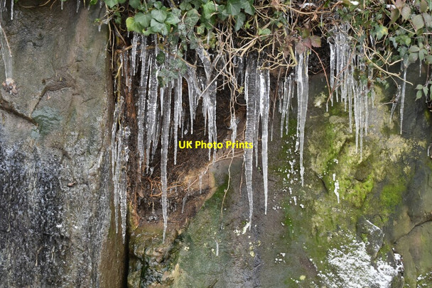 Photo 6"x4" Icicles on cliff, All Saints Rise Royal Tunbridge Wells c2021