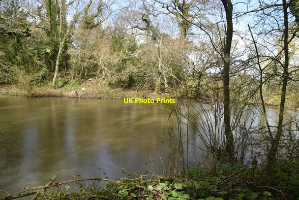 Photo 6"x4" Pond, Church Rd Lamberhurst c2021