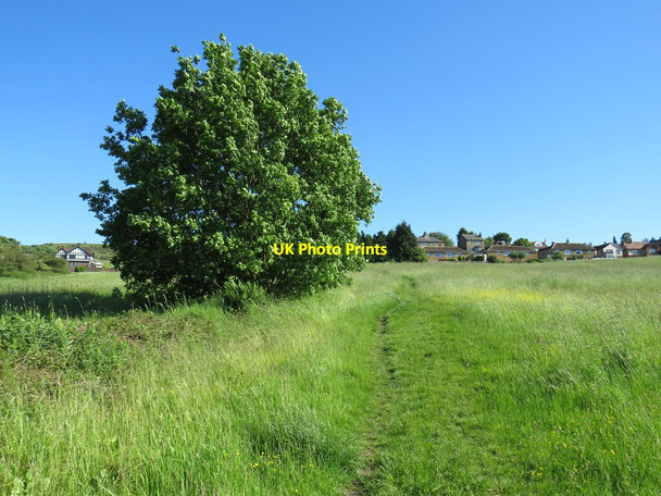 Photo 6"x4" Footpath near Huddersfield Huddersfield c2021
