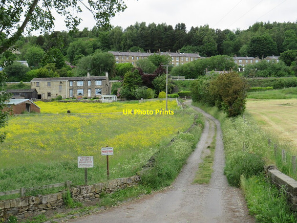 Photo 6"x4" Lees Mill Lane, Slaithwaite Clough Head\/SE0815 c2021