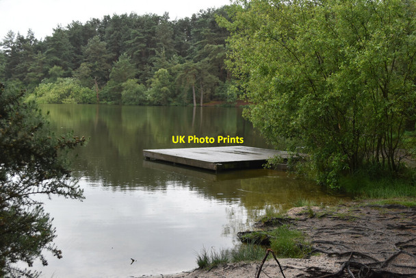 Photo 6"x4" Moat Pond Pot Common\/SU9042 c2021