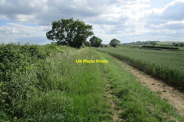 Photo 6"x4" Bridleway alongside a field of wheat Langham\/SK8411 c2021