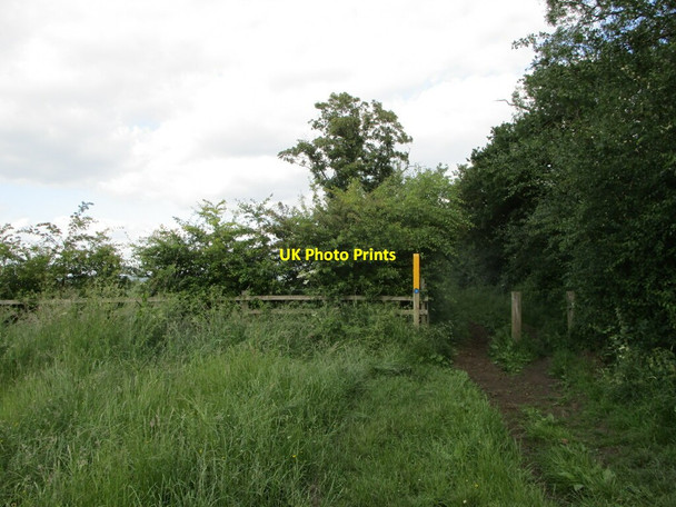 Photo 6"x4" Bridleway north of Langham Langham\/SK8411 c2021