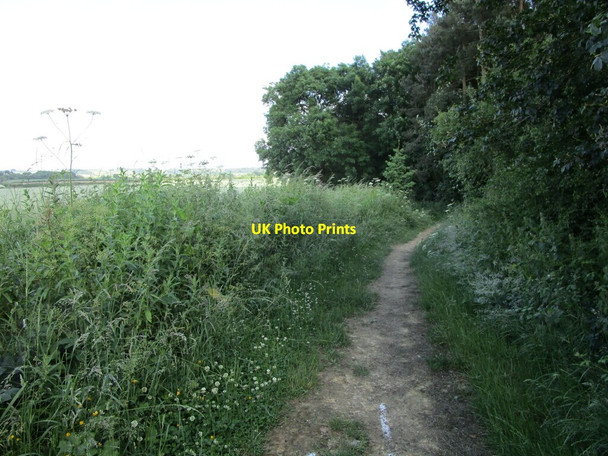 Photo 6"x4" Bridleway to Burley Ashwell\/SK8613 c2021