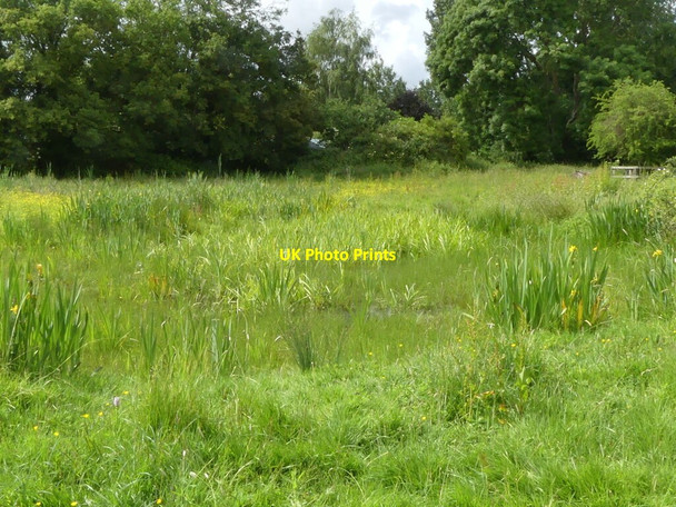Photo 6"x4" Pond in If Not Now When Suffield\/TG2332 c2021