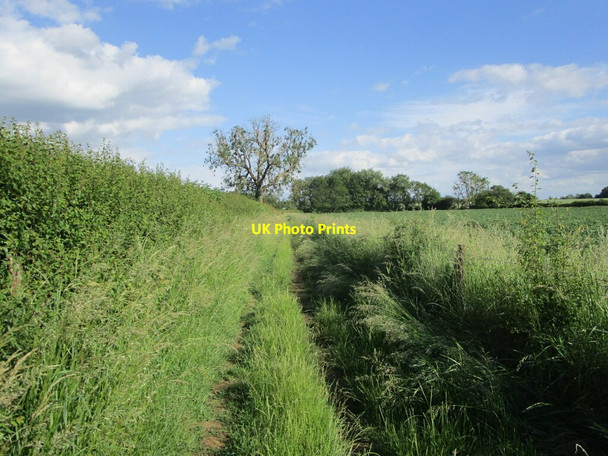 Photo 6"x4" Bridleway to Burley Ashwell\/SK8613 c2021 P1