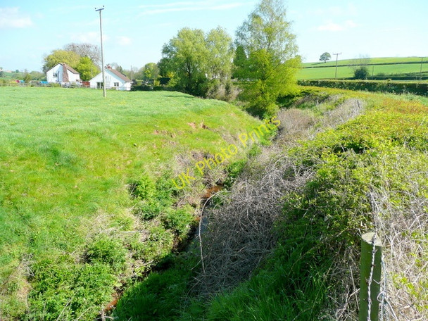 Photo 6"x4" The infant Ell Brook Aston Ingham c2009