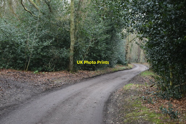 Photo 6"x4" Bridleway, Beacon Hill West Runton c2020 P1