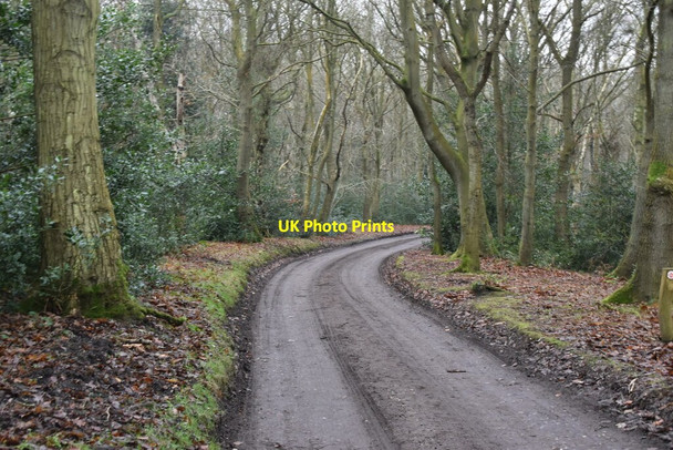 Photo 6"x4" Bridleway, Beacon Hill West Runton c2020 P2