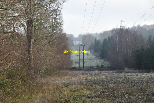 Photo 6"x4" Pylons, Worthlodge Forest Worth Abbey c2020
