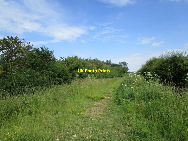 Photo 6"x4" Bridleway to Cotham Cotham\/SK7947 c2021 P1