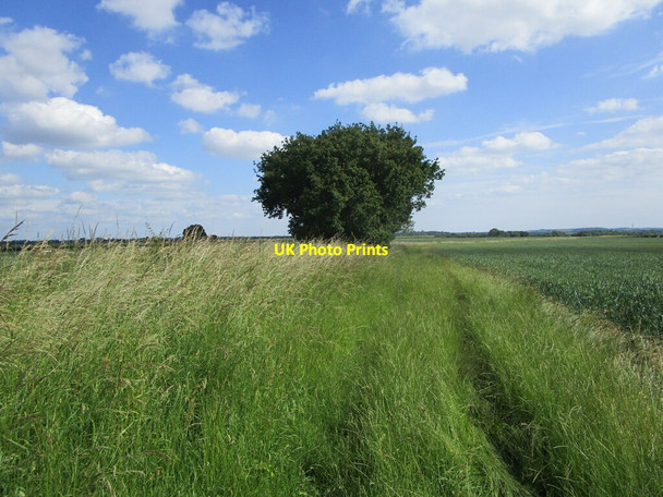Photo 6"x4" Bridleway to Ailsworth Upton\/TF1000 c2021