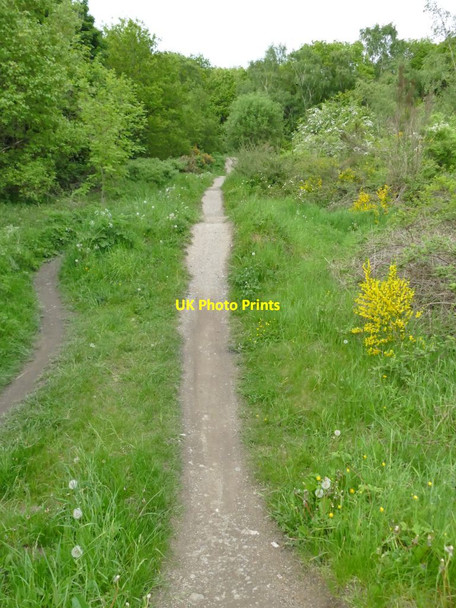 Photo 6"x4" Buck Wood BMX track Baildon c2021