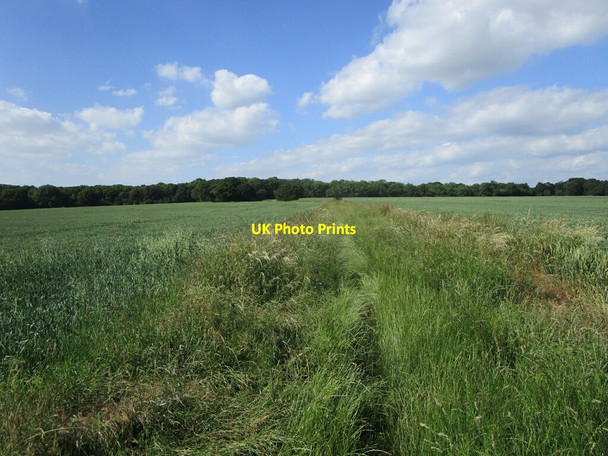 Photo 6"x4" Bridleway to Castor Road Upton\/TF1000 c2021