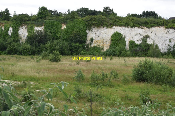 Photo 6"x4" Worked-out chalk quarry at Swanscombe Swanscombe c2021