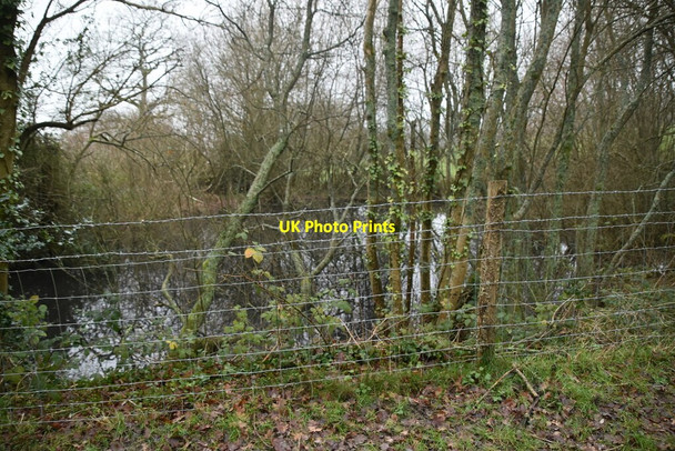 Photo 6"x4" Wooded pond Turners Hill c2020