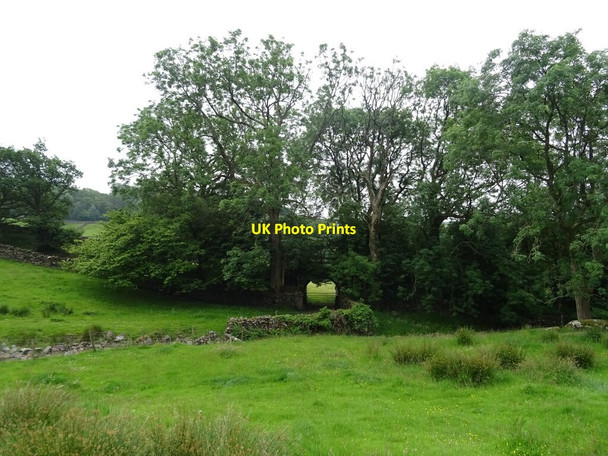 Photo 6"x4" Grazing and old railway bridge, Town End Bridge Rosthwaite\/SD2490 c2021
