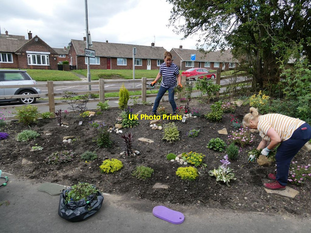 Photo 6"x4" Wardley Wombles flower bed Follingsby c2021