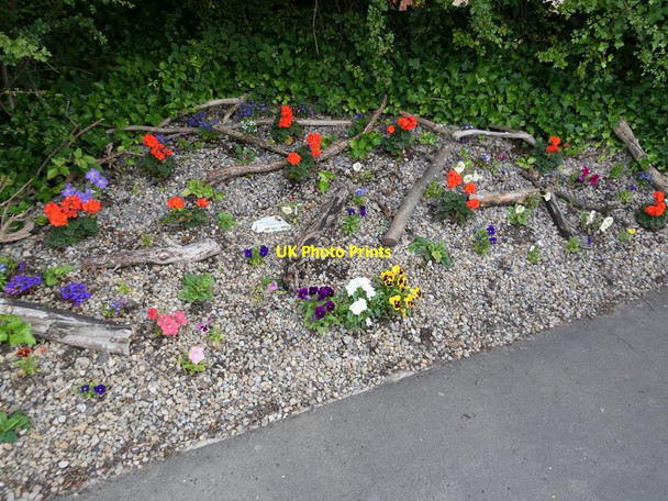 Photo 6"x4" Wardley Wombles flower bed Follingsby c2021 P2