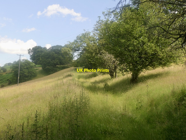 Photo 6"x4" Former road over Harley's Mountain Birtley\/SO3669 c2021