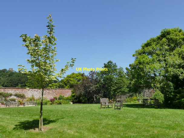 Photo 6"x4" Dunster Village Gardens (1) Dunster c2021